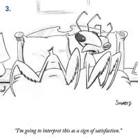 Cartoon of two praying mantises in bed, with one saying "I'm going to interpret this as a sign of satisfaction."